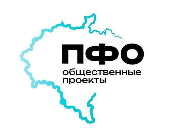 Общественные проекты Приволжского федерального округа
