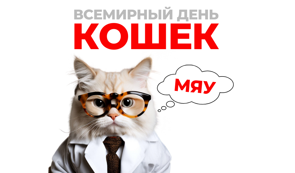 Всемирный день кошек