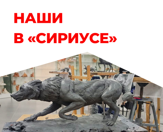Обучающаяся "Алых парусов" в Сириусе!
