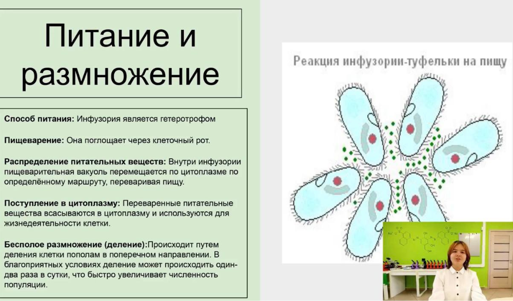 Кванторианцы - призеры открытого биологического хакатона «Внутренний мир клетки»