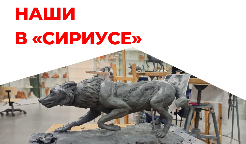 Обучающаяся "Алых парусов" в Сириусе!